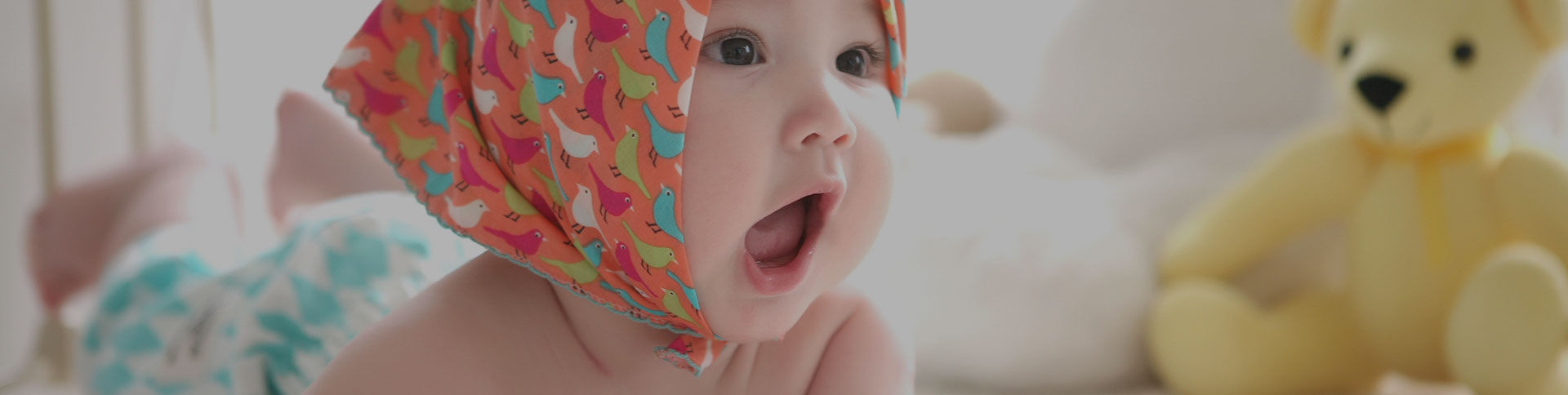 寶拾貳·電子商務平臺|一網天行-網站建設小程序APP系統軟件開發公司