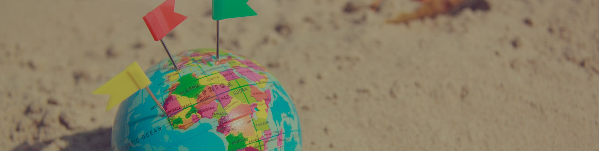 環球購物官方網站|一網天行-網站建設小程序APP系統軟件開發公司